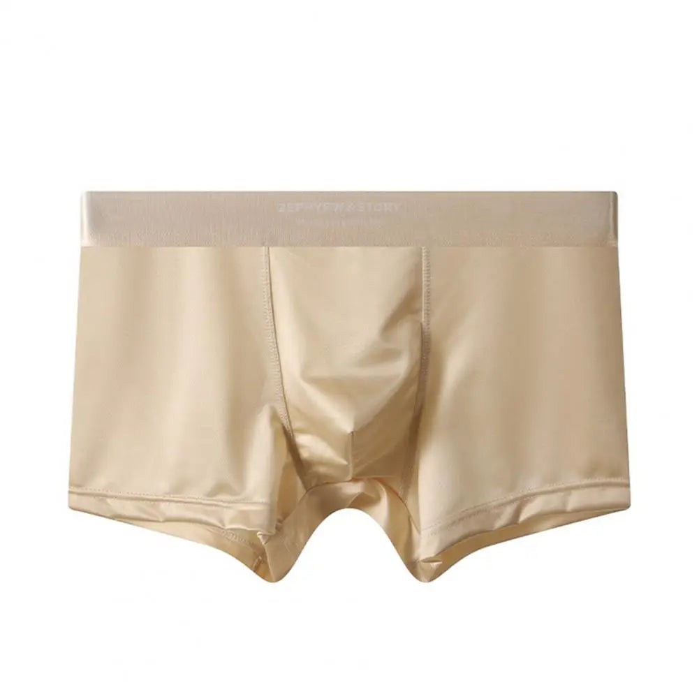 Men's seamless boxer briefs - product photo 6