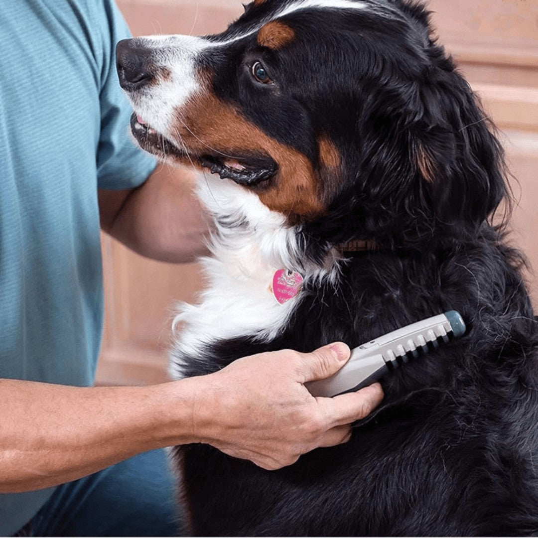 Pet detangling grooming trimmer - product photo 2