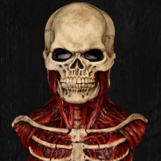 Full-head skull mask - product photo 5