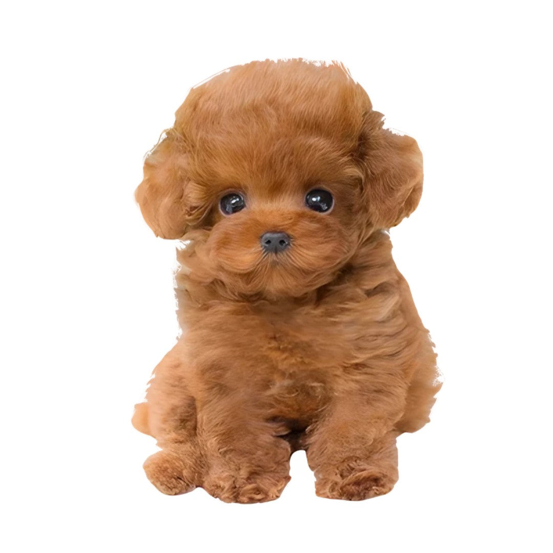 Realistic plush dog soft toy - product photo 1
