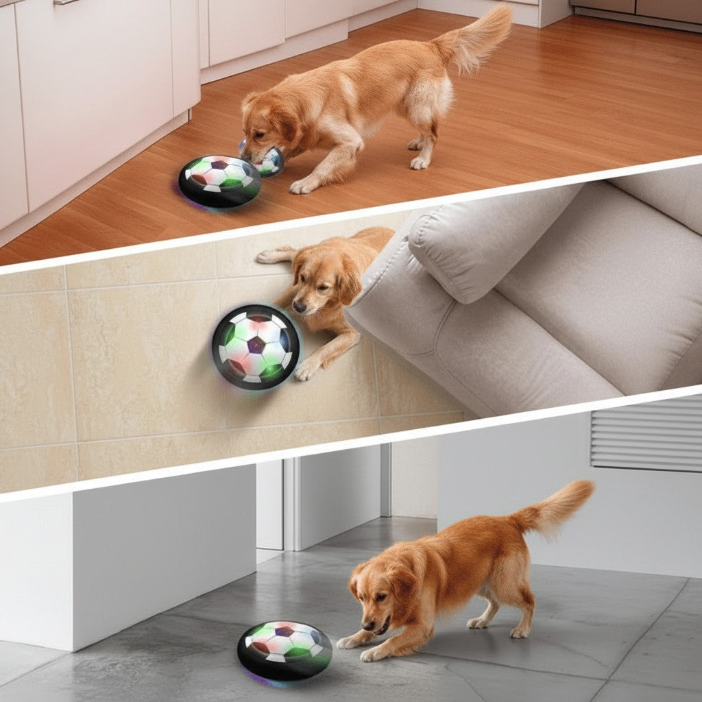 Interactive self-moving dog play ball - product photo 3