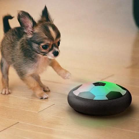 Interactive self-moving dog play ball - product photo 5