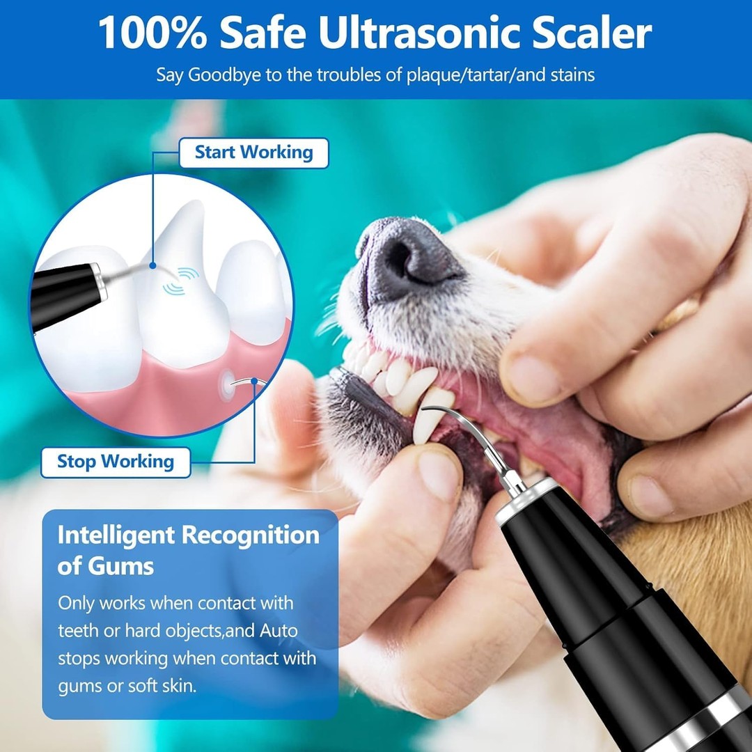 Rechargeable ultrasonic dental cleaning tool for pets - product photo 8