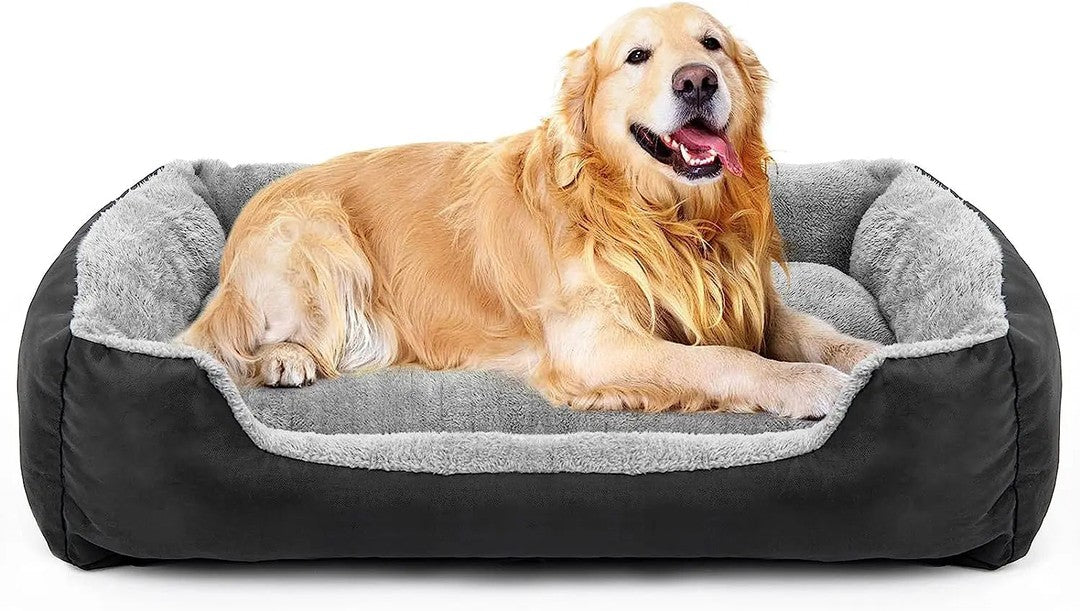 Bolstered washable dog bed - product photo 4