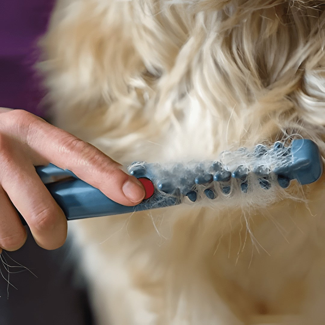 Pet detangling grooming trimmer - product photo 3