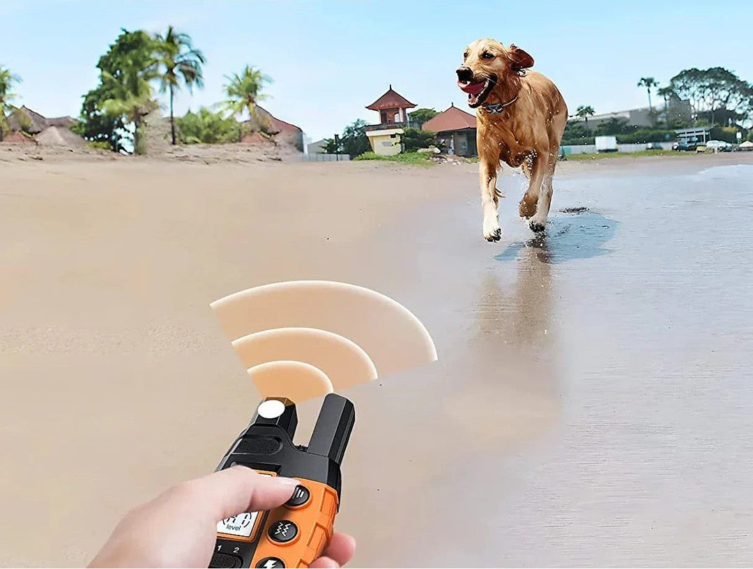 Remote dog training collar with handset - product photo 2