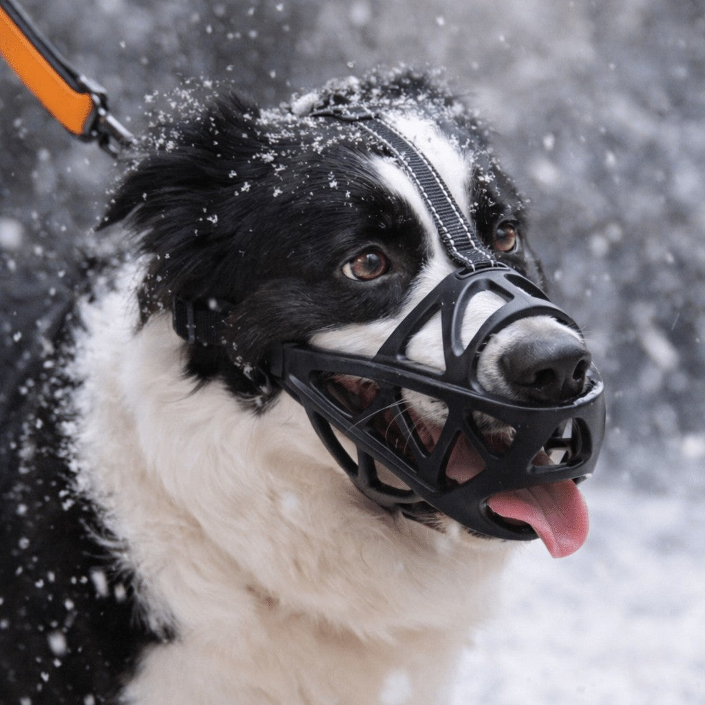 Soft breathable fabric dog muzzle - product photo 1