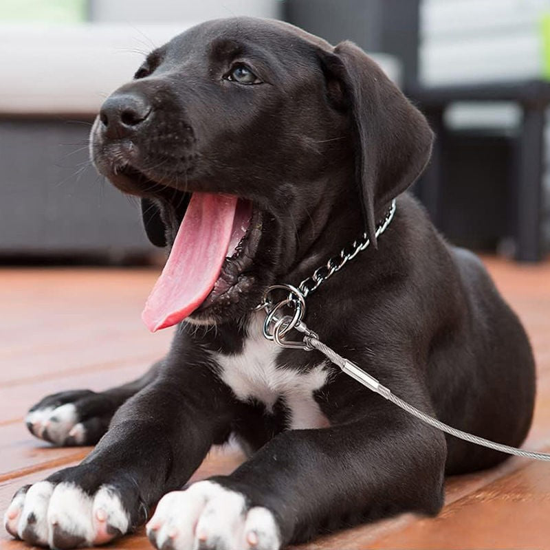 Chew-resistant steel cable dog tether - product photo 6