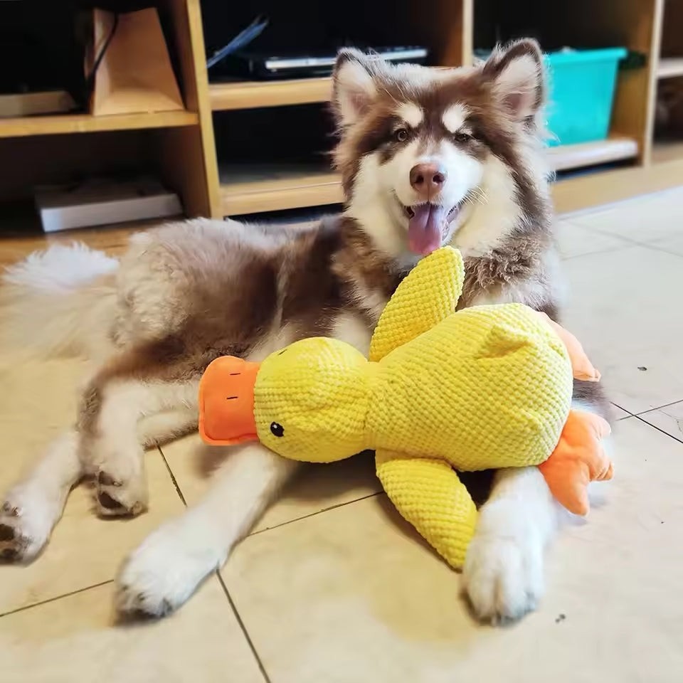 Plush dog toy - product photo 1