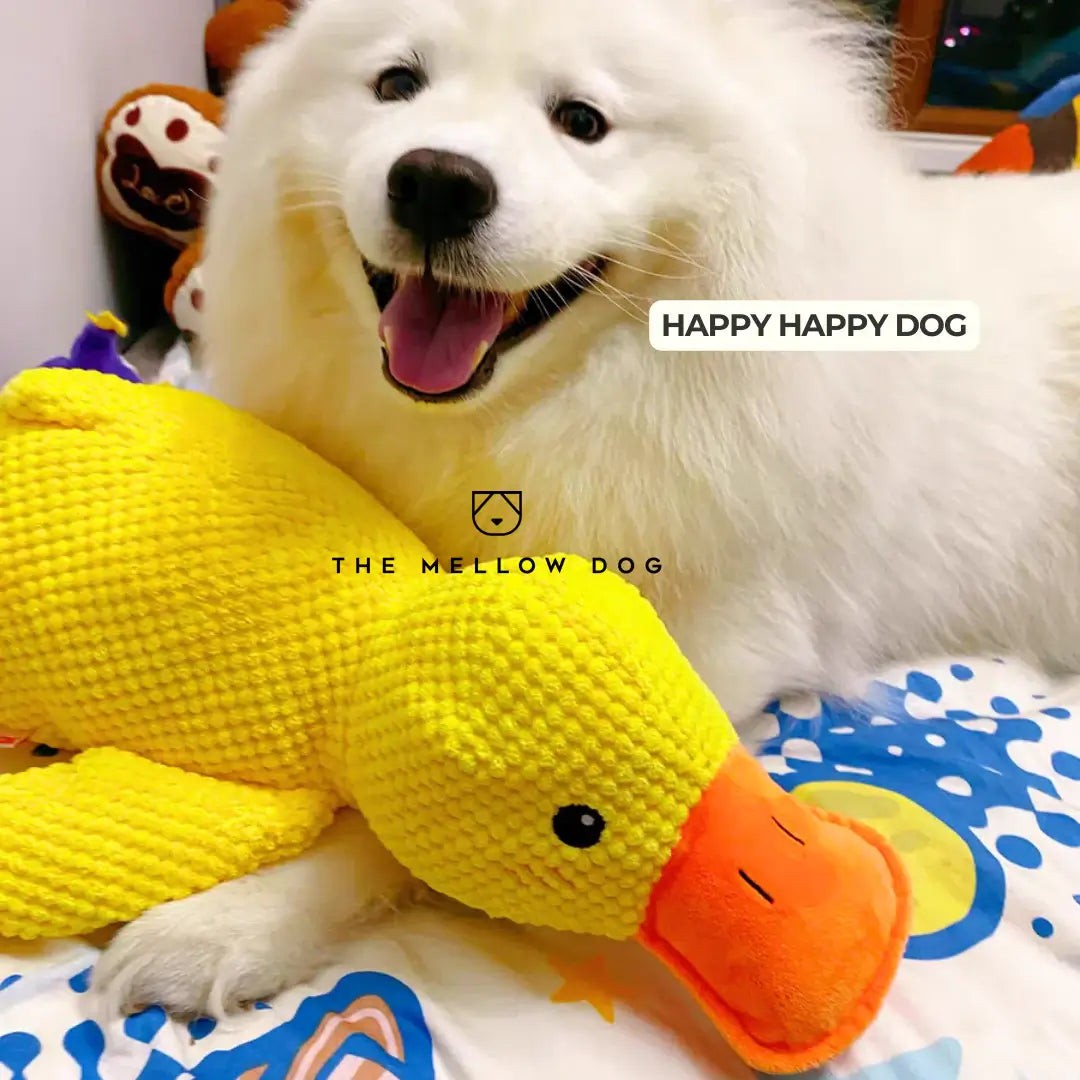 Plush dog toy - product photo 2