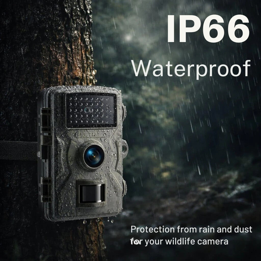 Motion-triggered trail camera with infrared night vision - product photo 8