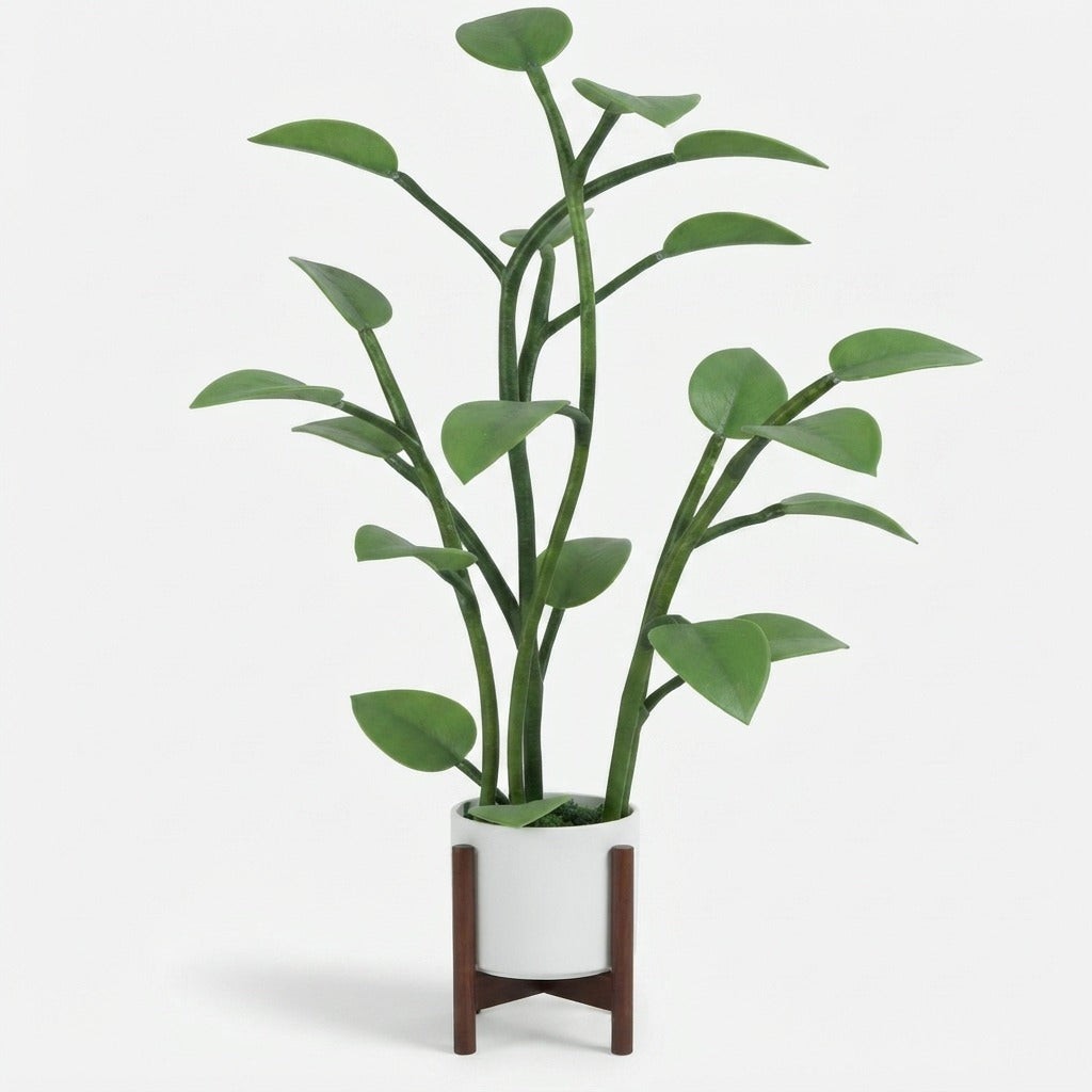 App-controlled LED decorative plant light - product photo 7